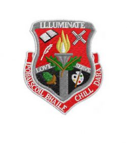Kildare Town Community School