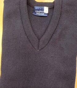 plain navy v neck