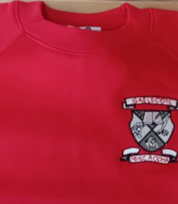 Gaelscoil mhic aodha top