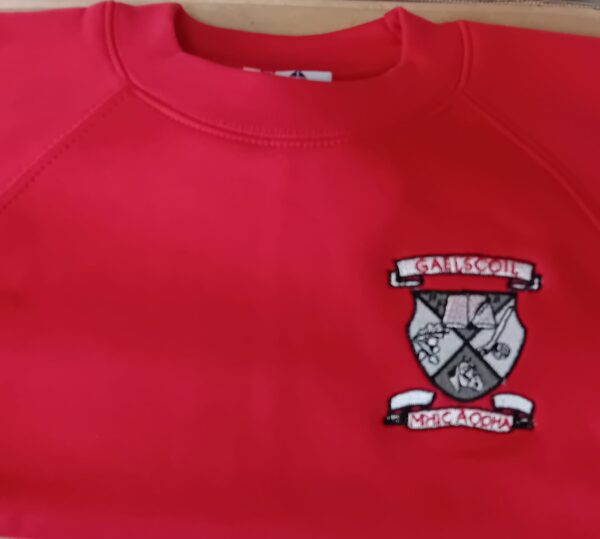 Gaelscoil mhic aodha top
