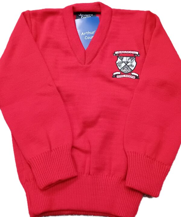 Gaelscoil mhic aodha v neck jumper 1