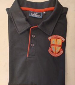 ACS polo